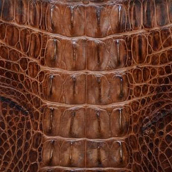 クロコダイル革