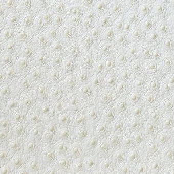 オーストリッチ革